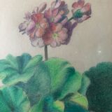 Pastel de fleurs vintage