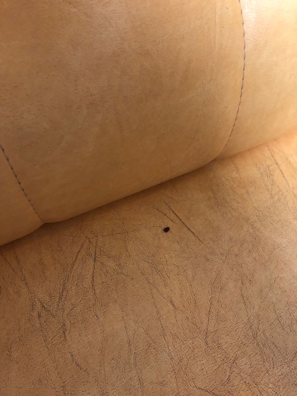 Yellow bistro bench, 1960