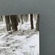 Film photography Bernard Darot Parterre of ferns 20th century