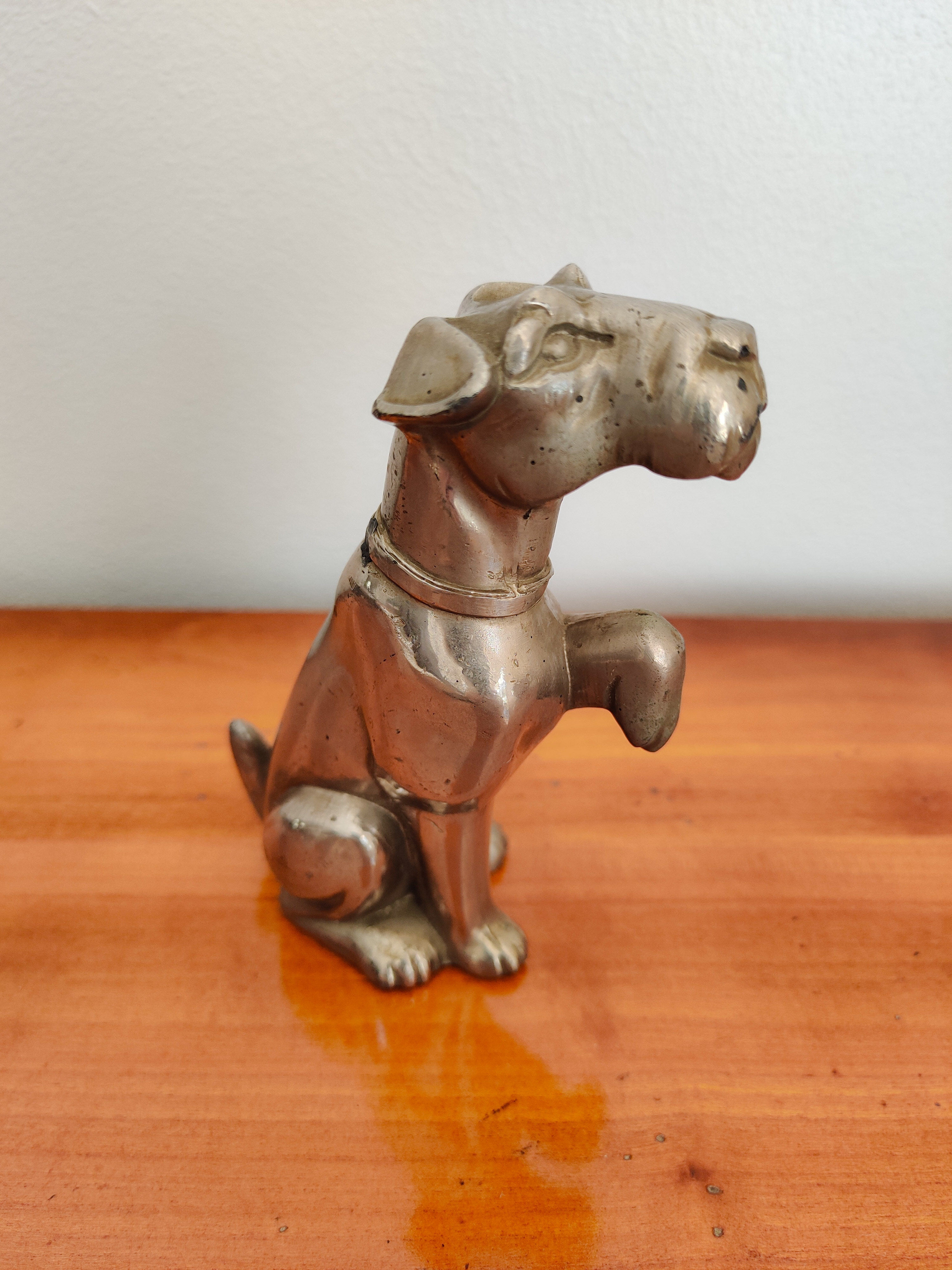Chien