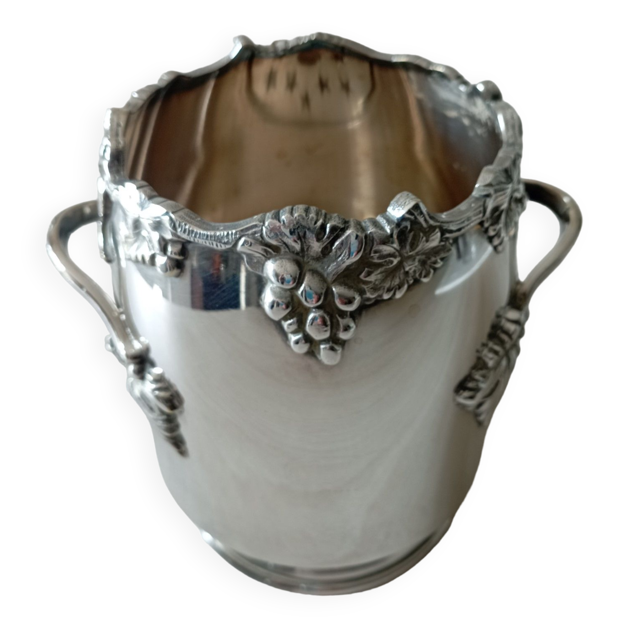 Silver metal flower spike vase