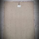 Litho frame sparkling rose with double flowers