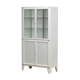 Vitrine médicale de fer de Kovona, années 1950