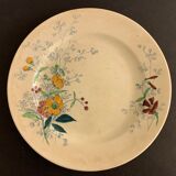 12 old polychrome flat plates Jules Vieillard Bordeaux, 19th century