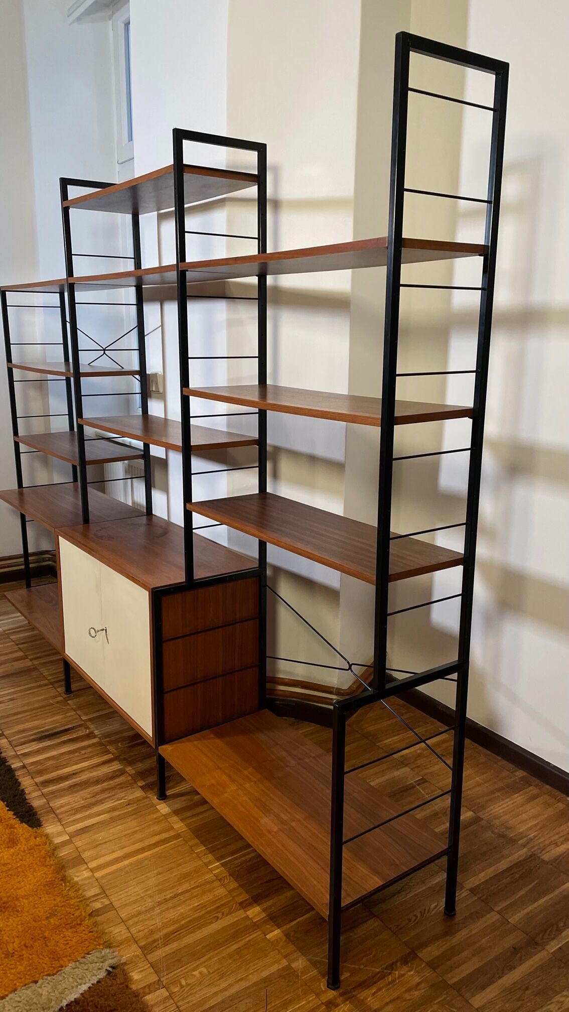 Modular vintage shelves of the 60s with box
