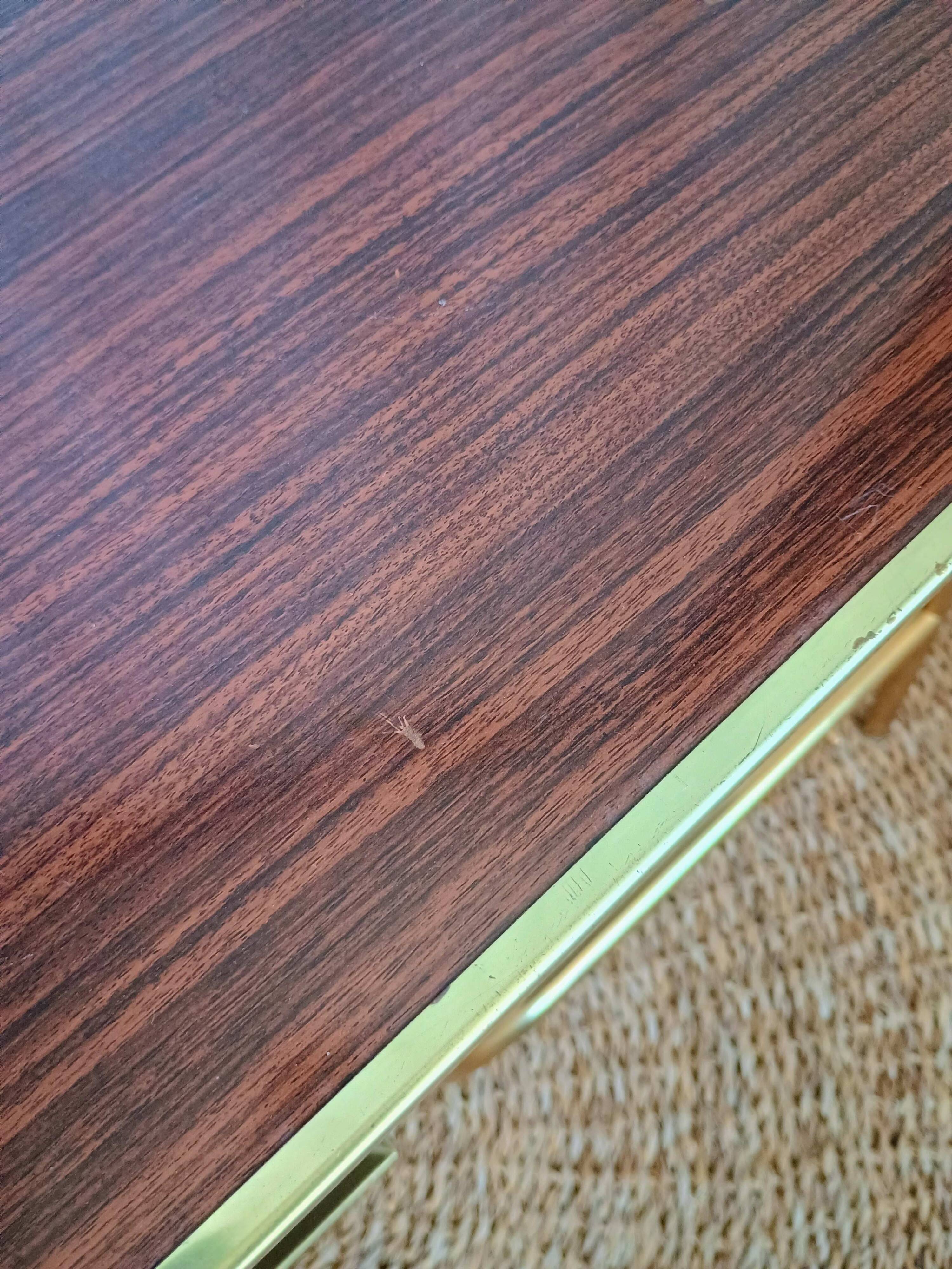 Coffee table with gold metal vinyl holder from the 70s)