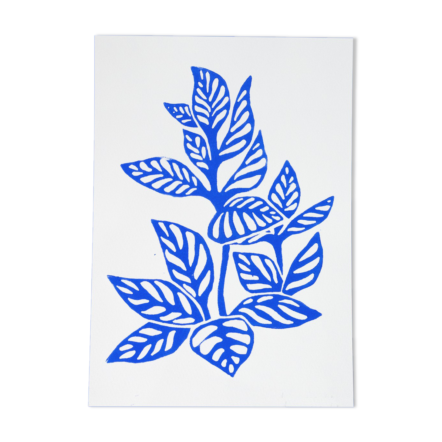 Original linocut - Tropical flower