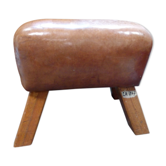 Pommel horse