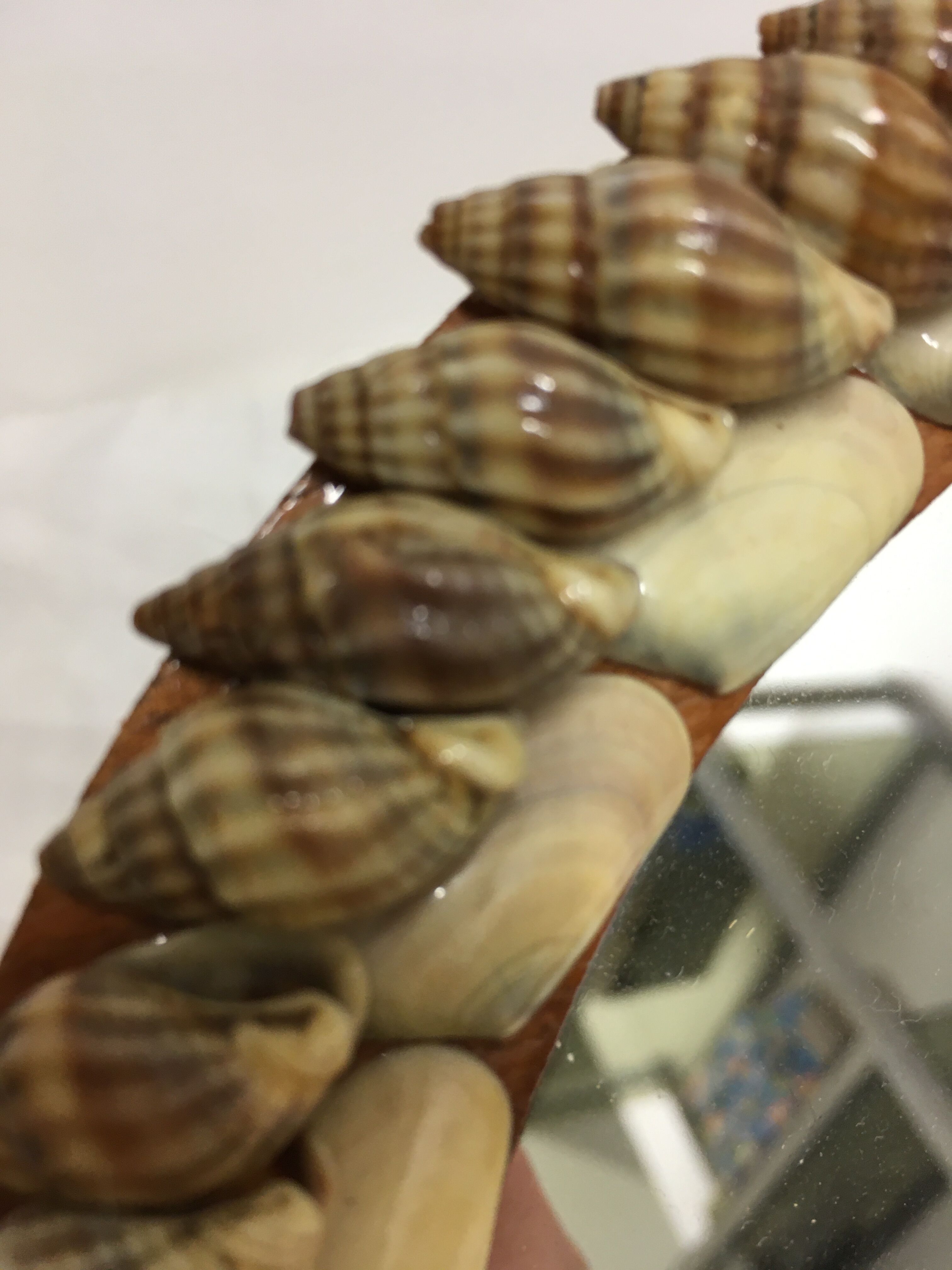 Hand facing decoration shells year 60/70