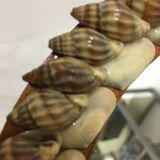 Hand facing decoration shells year 60/70