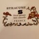 6 assiettes plates syracuse sarreguemines décor fleurs