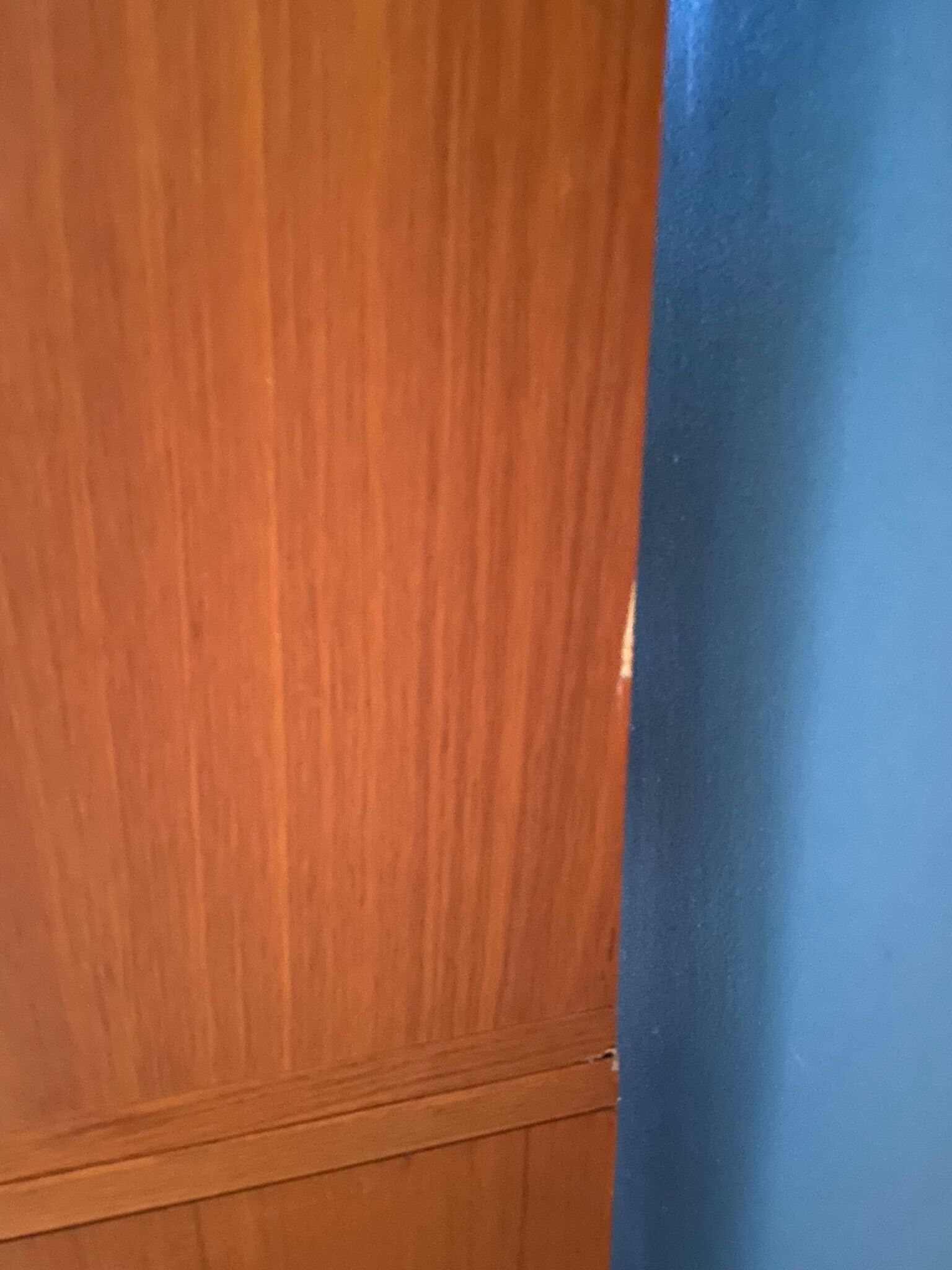 Library vintage teak showcase 1960