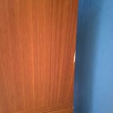 Library vintage teak showcase 1960