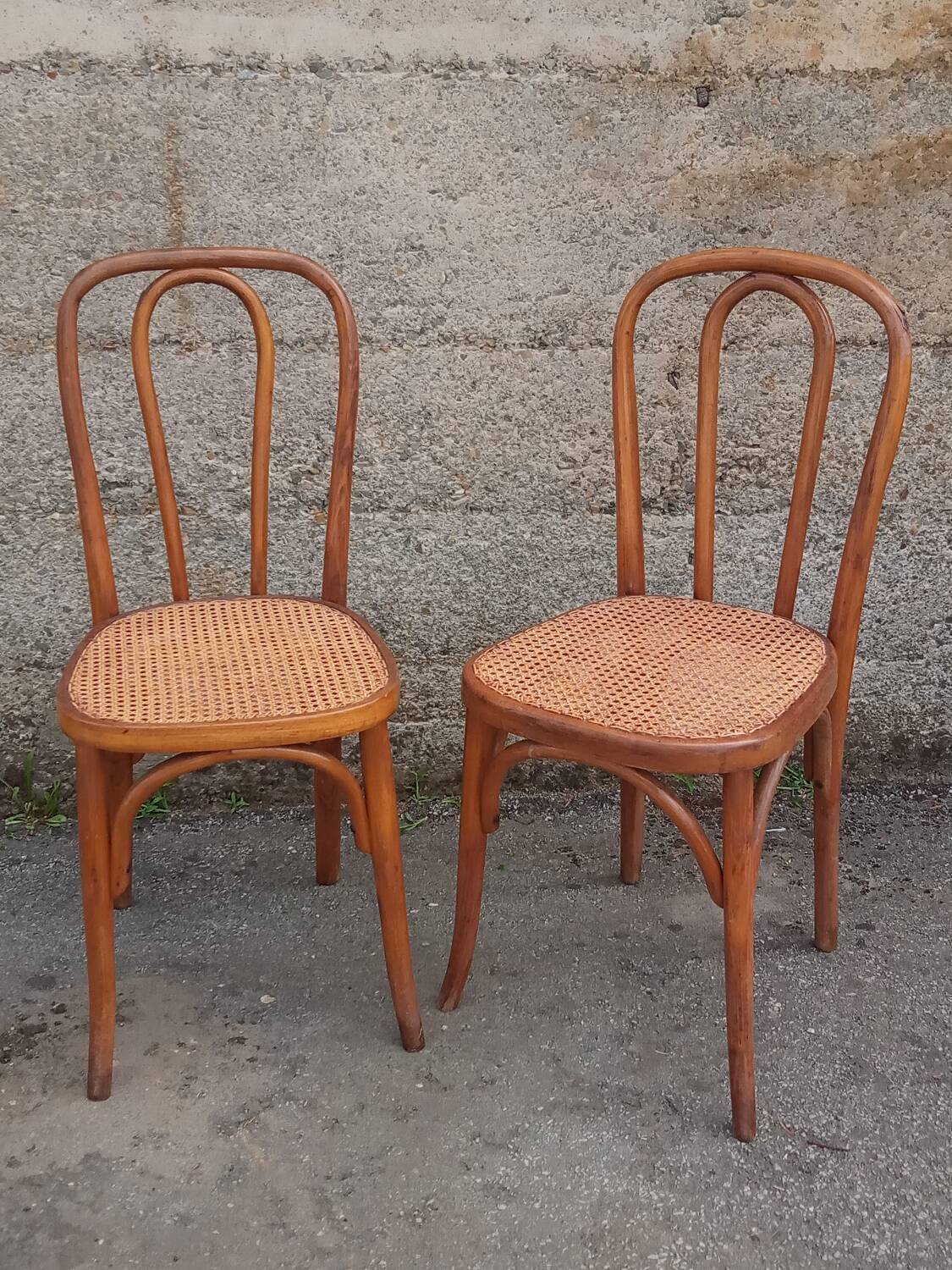 Pair of caned Fischel chairs, circa 1900