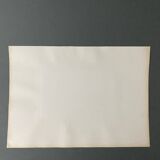 Photo Vienna The Opera Hall 19th century albumen laminated cardboard