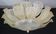 Dubai, Large Size Murano Glass Gold Flush Mount, 1970s