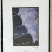 Vintage photograph illustration