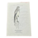 Vintage botanical board bird engraving 19th signed G Denise
