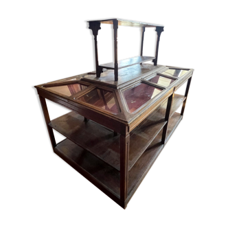 Furniture of trade showcase presentation museum natural history XlX eme - oak