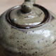 Artisanal teapot in glazed sandstone