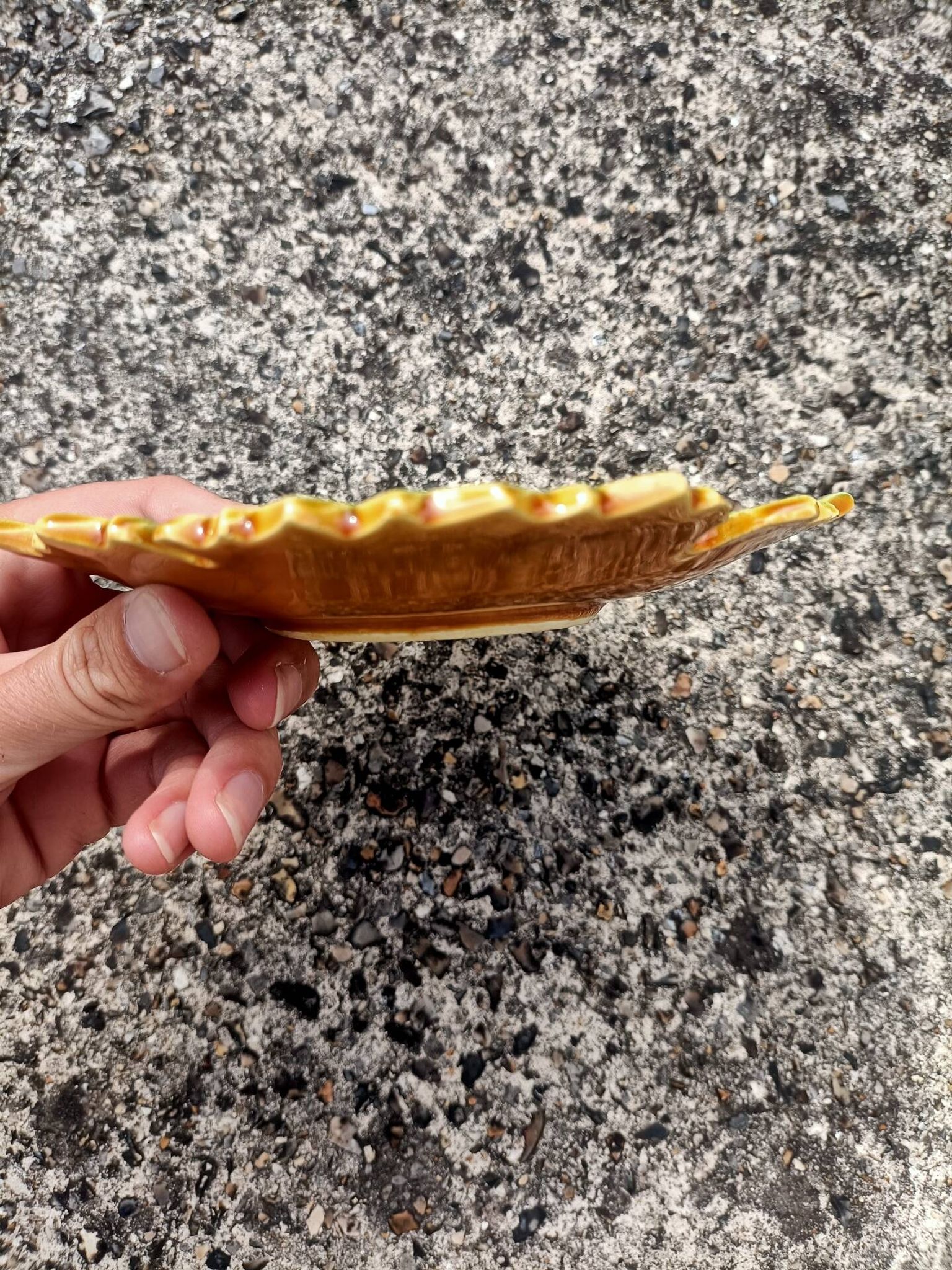Vide poche Feuille Automne