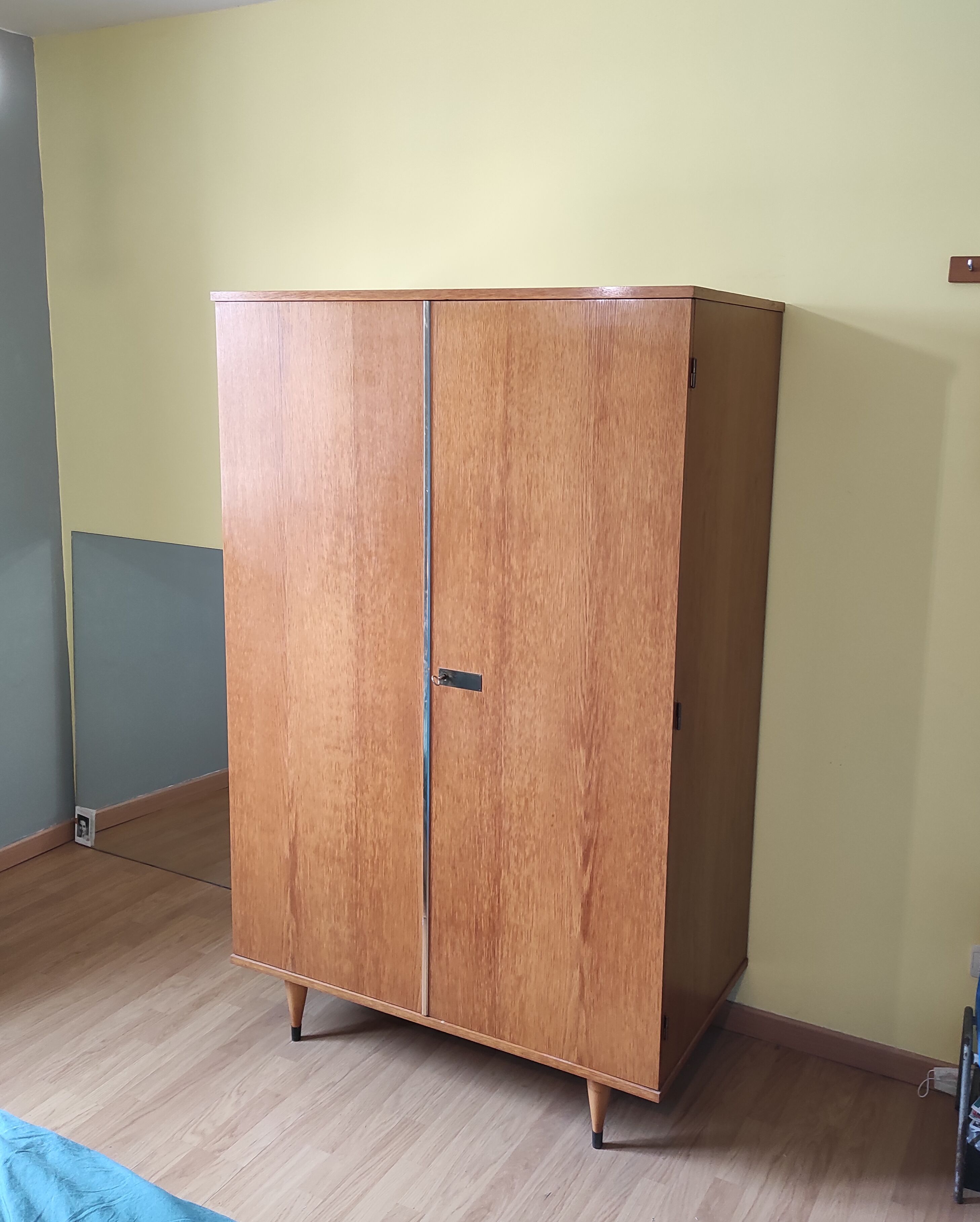 Scandinavian two-door wardrobe
