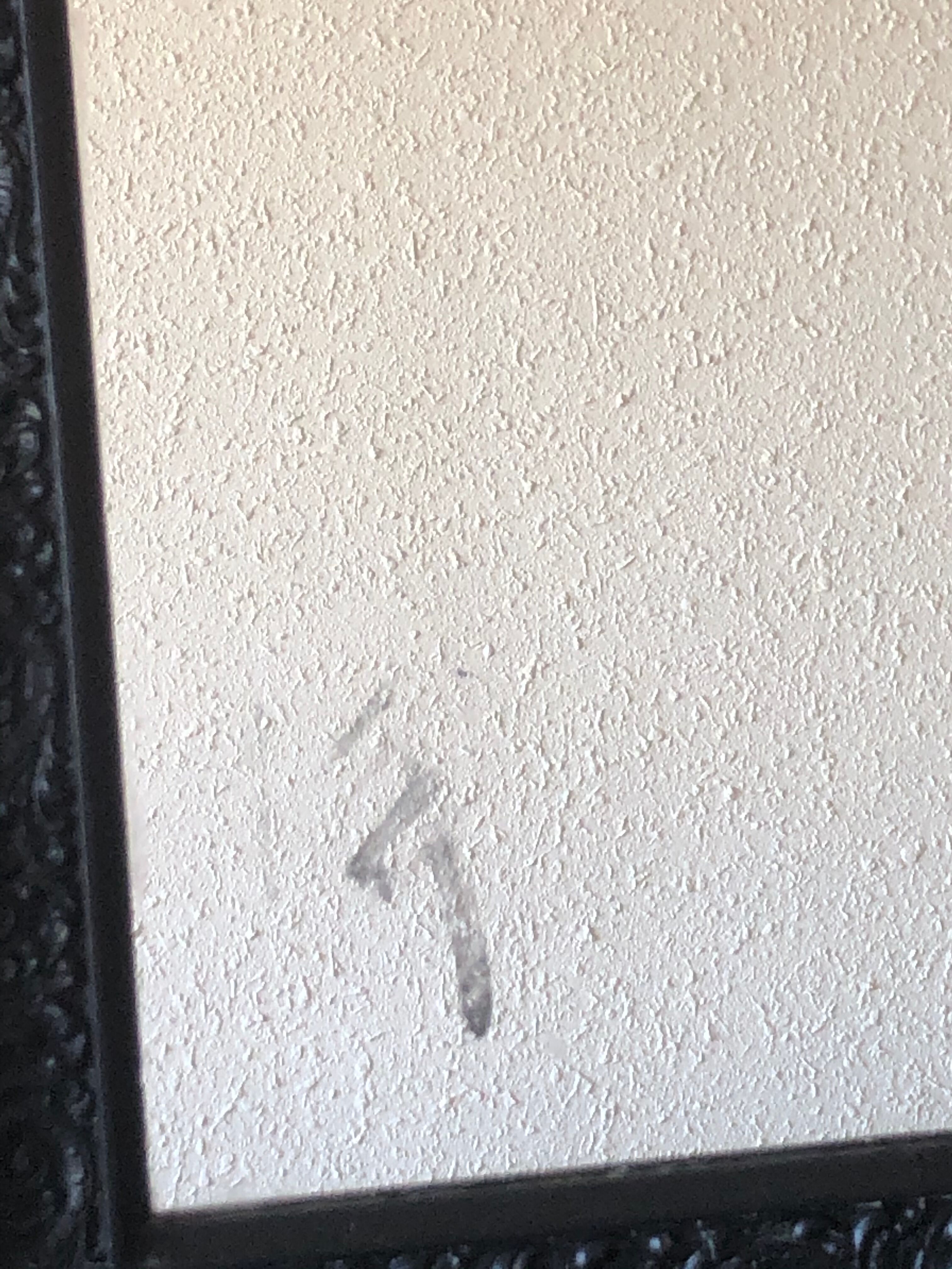 Old black patina mirror  65x96cm