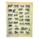 Antique engraving 1897 A. Millot - Ox, cow, bull, calf