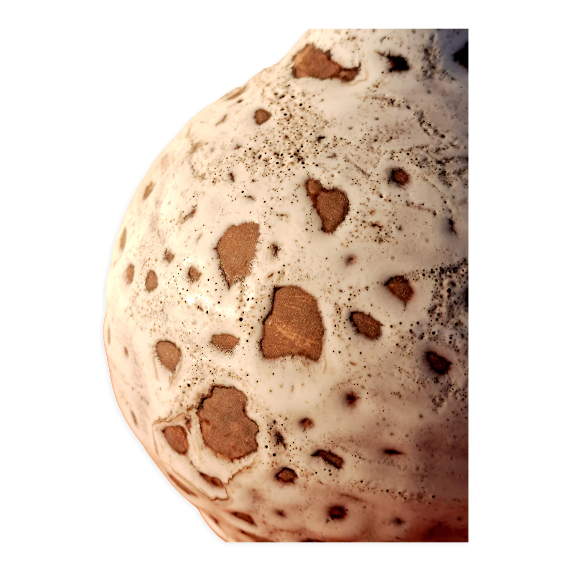 Ceramic pitcher Vallauris 1960