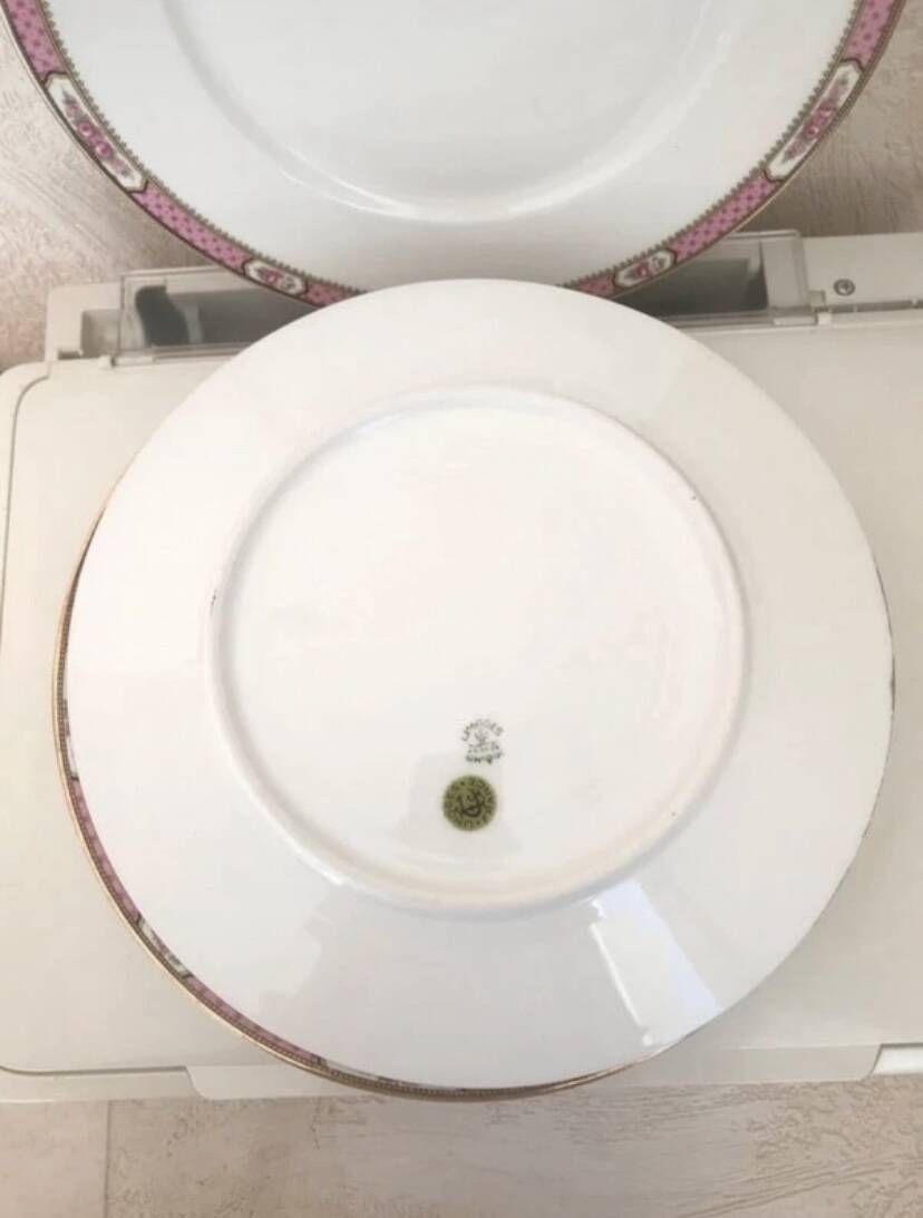 Flat plates Limoges