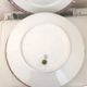Flat plates Limoges