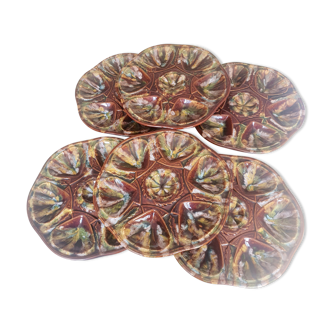 Set of 6 plates slurry scallops