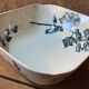 Salins dish