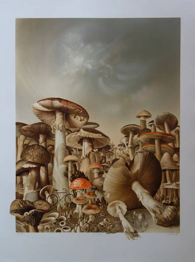 Roland CAT: Bicycle and Mushrooms, original signed lithograph