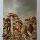 Roland CAT: Bicycle and Mushrooms, original signed lithograph