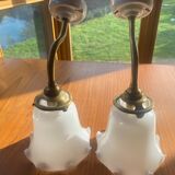 Paire d'appliques col de cygne opaline