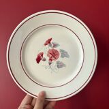 7 antique dinner plates