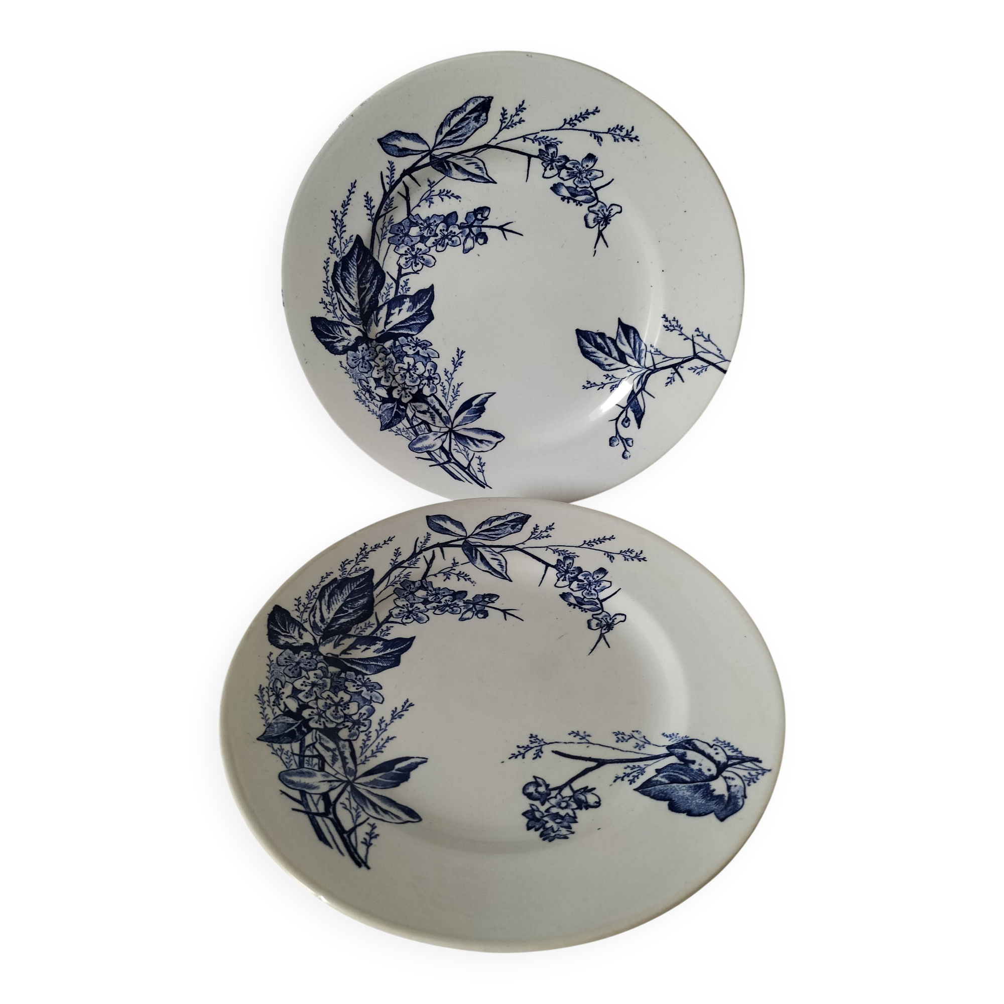 Pair of Longchamp plates 1880-1900 – Rare naturalistic floral decoration
