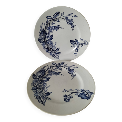Duo d’assiettes Longchamp 1880-1900 – Rare décor floral naturaliste
