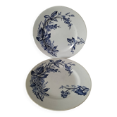 Duo d’assiettes Longchamp 1880-1900 – Rare décor floral naturaliste