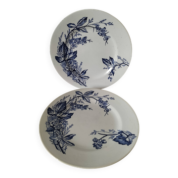 Duo d’assiettes Longchamp 1880-1900 – Rare décor floral naturaliste