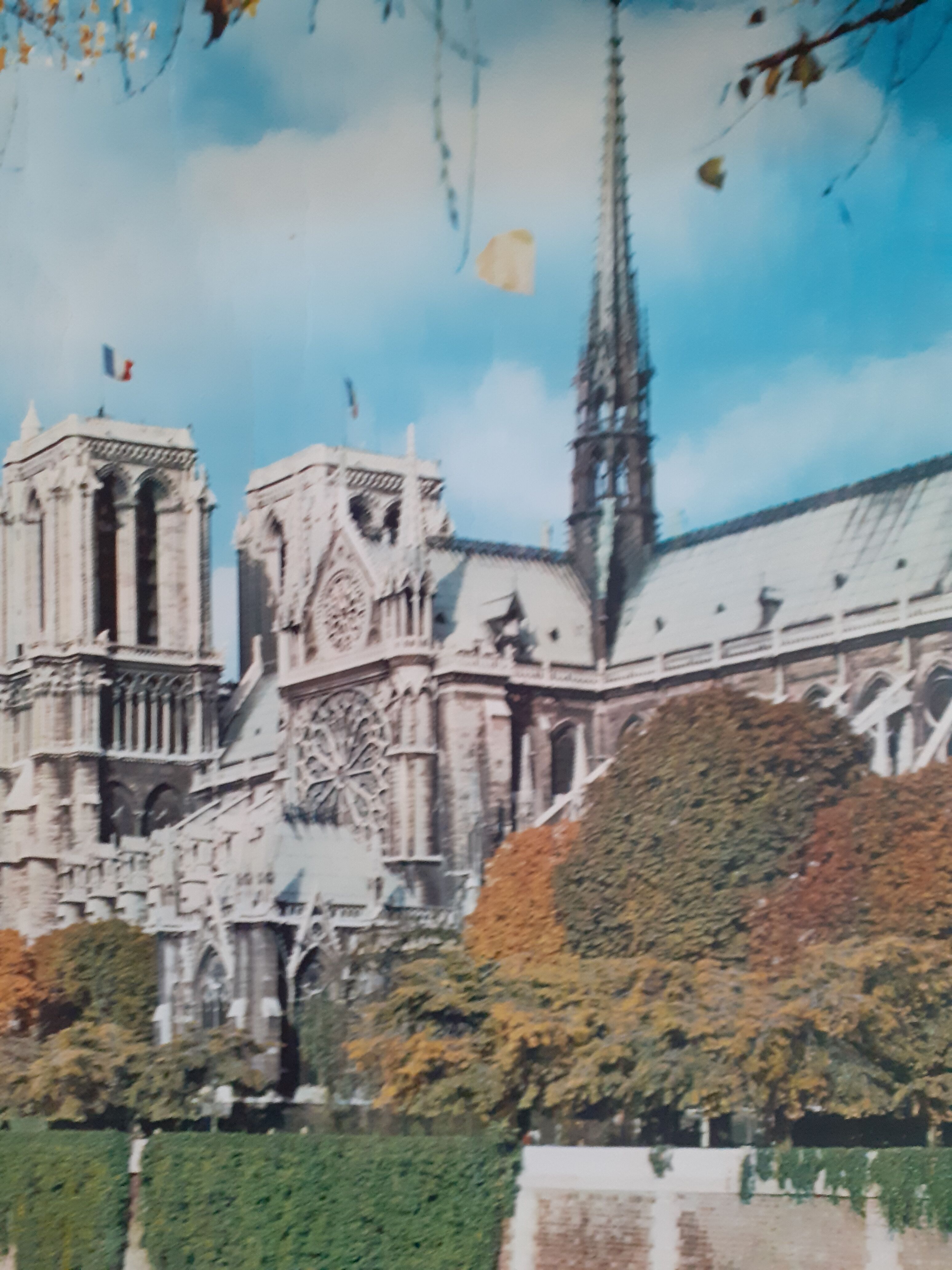 Poster Paris Notre-Dame quais de Seine 60s