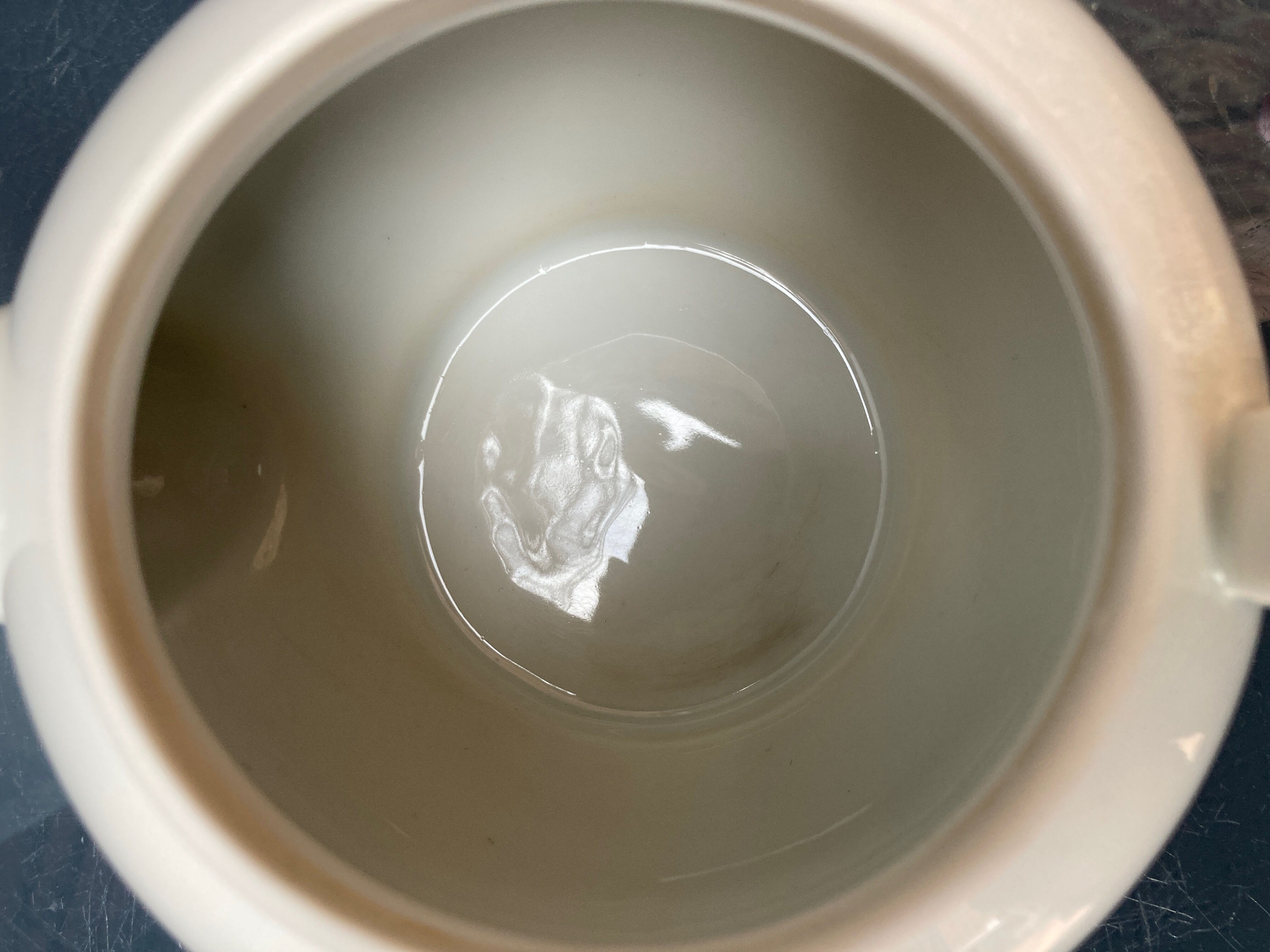 Pillivuyt porcelain herbal tea