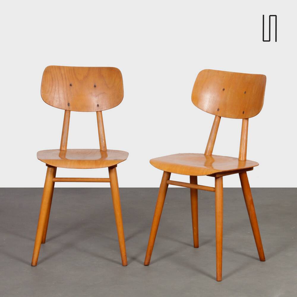 Pair of wooden chairs produced by Ton, 1960