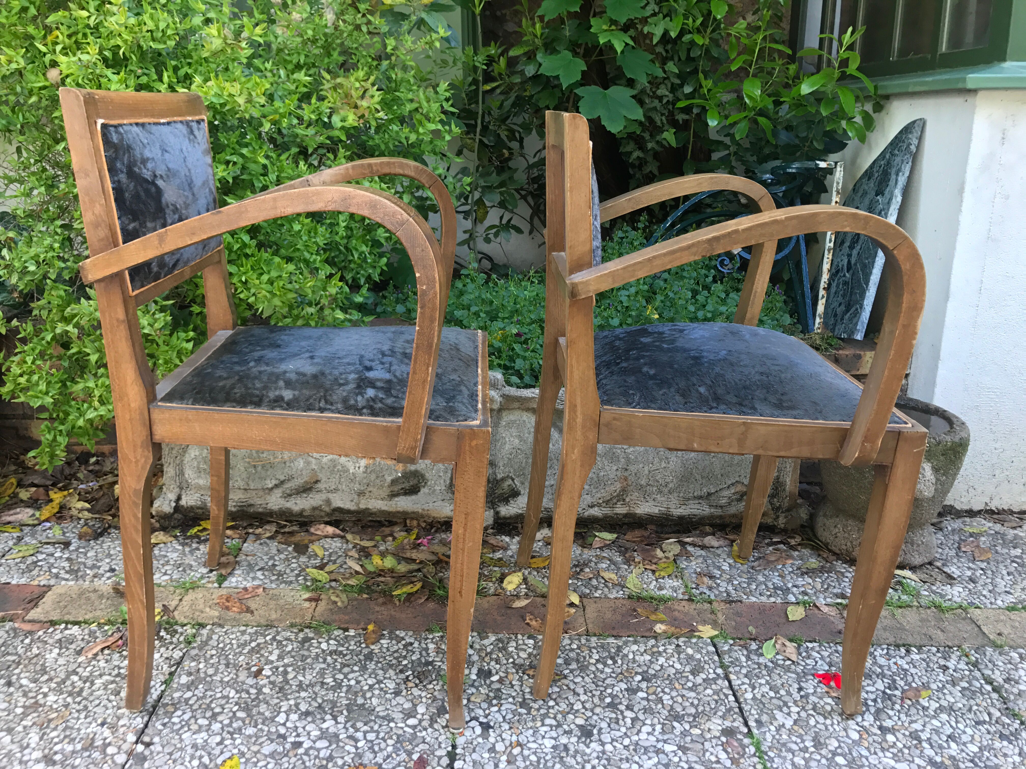 Pair of bridge chairs