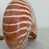 Nautilus shell