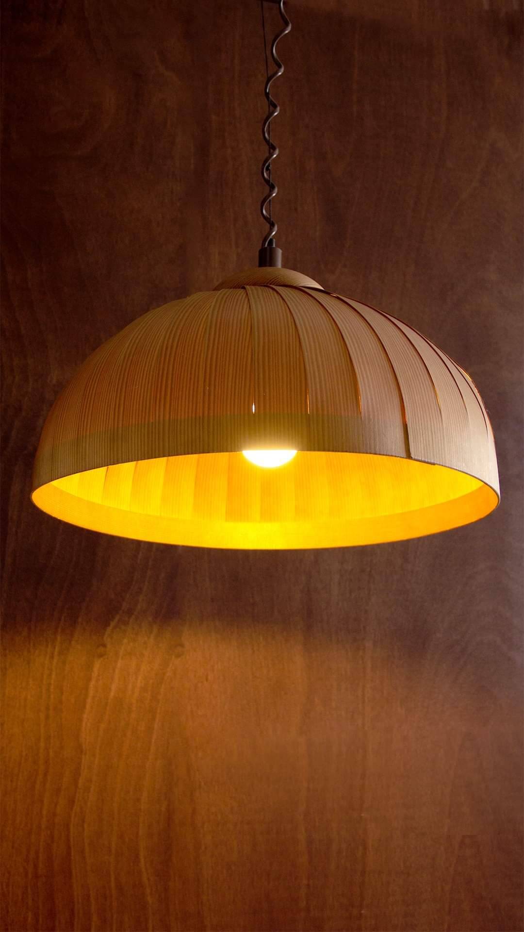 Danish vintage pendant light Hans Agne Jakobsson