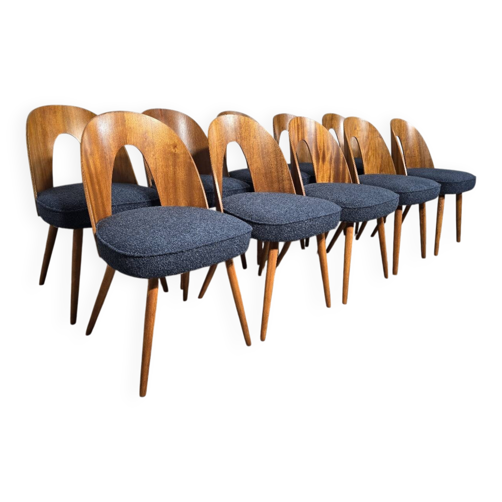 Dining Chairs by Antonin Suman, 1960s, Set of 10