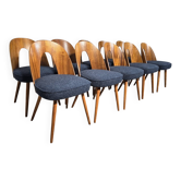 Dining Chairs by Antonin Suman, 1960s, Set of 10