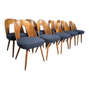 Dining Chairs by Antonin Suman, 1960s, Set of 10